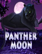 เว็บ เกม สล็อต ยอด นิยม ที่ไม่ควรพลาด